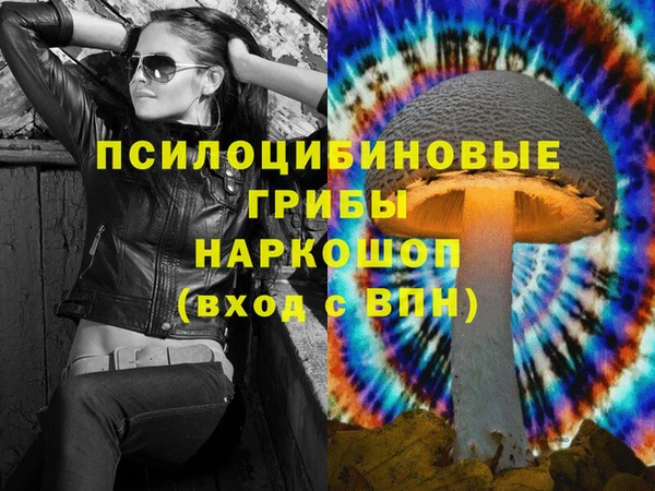 крисы Алексин