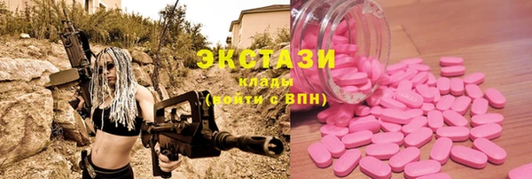 крисы Алексин