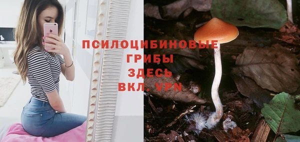 СК Алексеевка