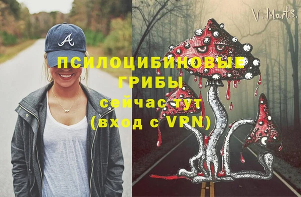 крисы Алексин
