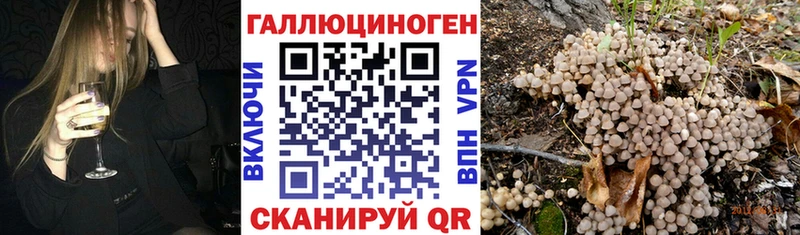 MEGA зеркало  сайты даркнета формула  Псилоцибиновые грибы мицелий  Лермонтов 